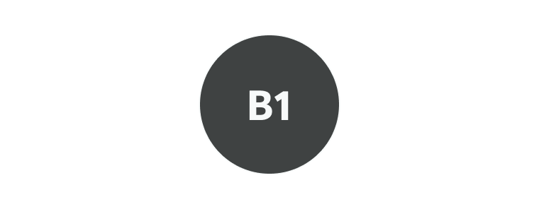 Cambridge English B1 Preliminary